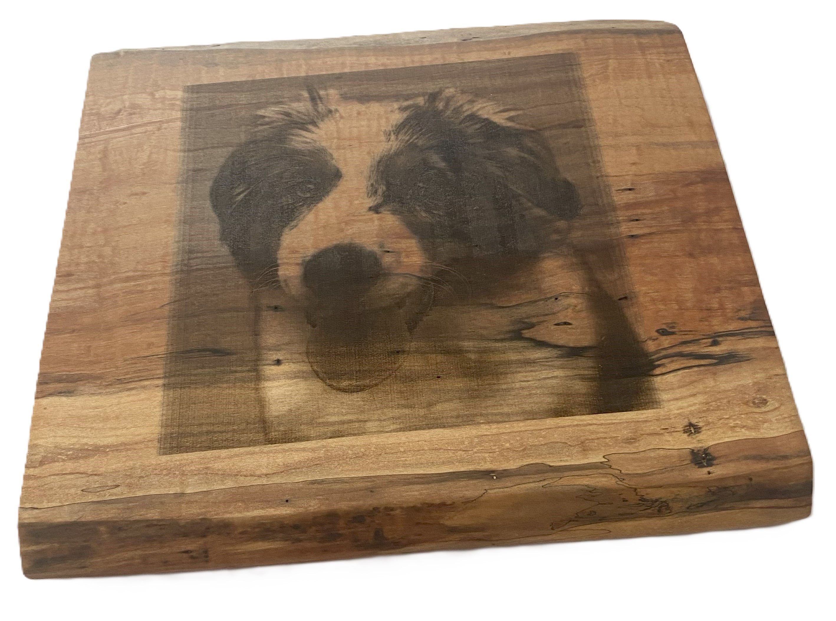 Live Edge Laser Engraved Pet | Laser Engraved Dog From Photo  | Wall Art or Charcuterie