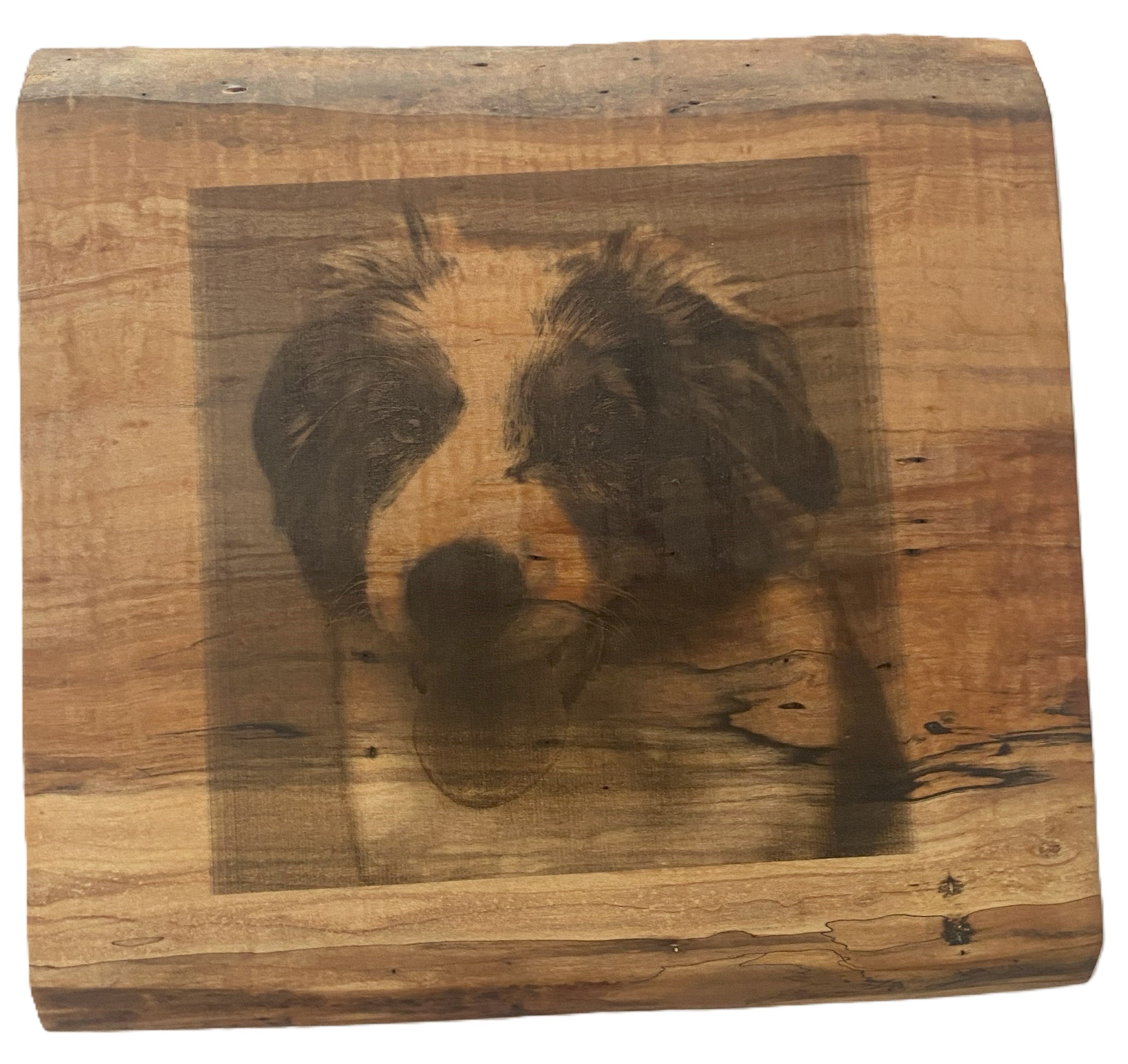 Live Edge Laser Engraved Pet | Laser Engraved Dog From Photo  | Wall Art or Charcuterie