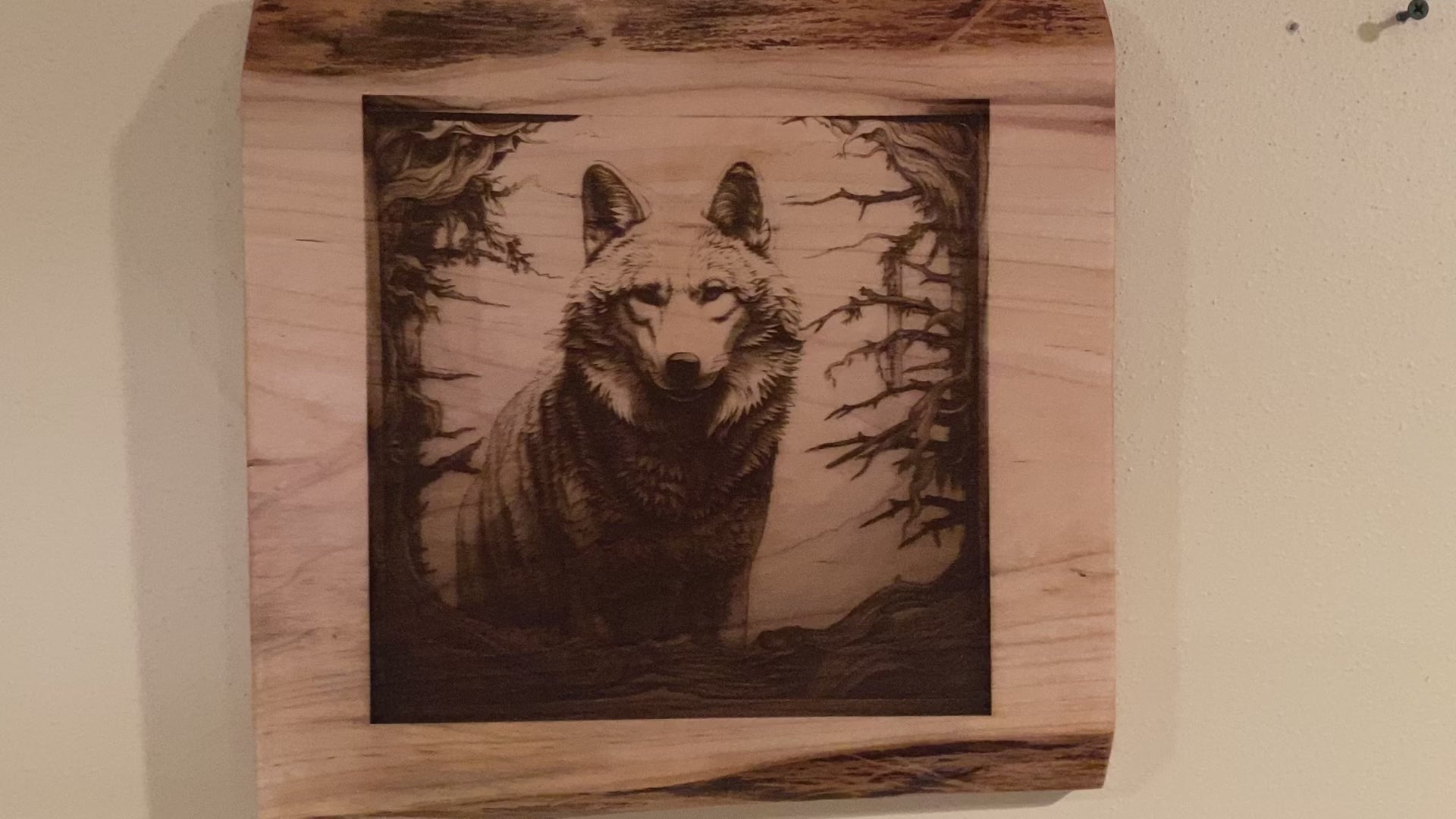 Live Edge Wolf | Engraved Wolf in the Wild | Wolf Wall Art